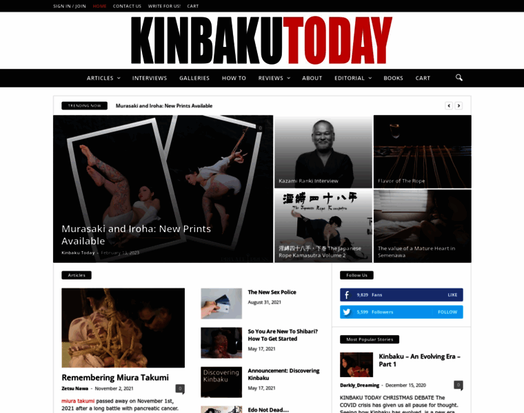 Kinbakutoday.com thumbnail