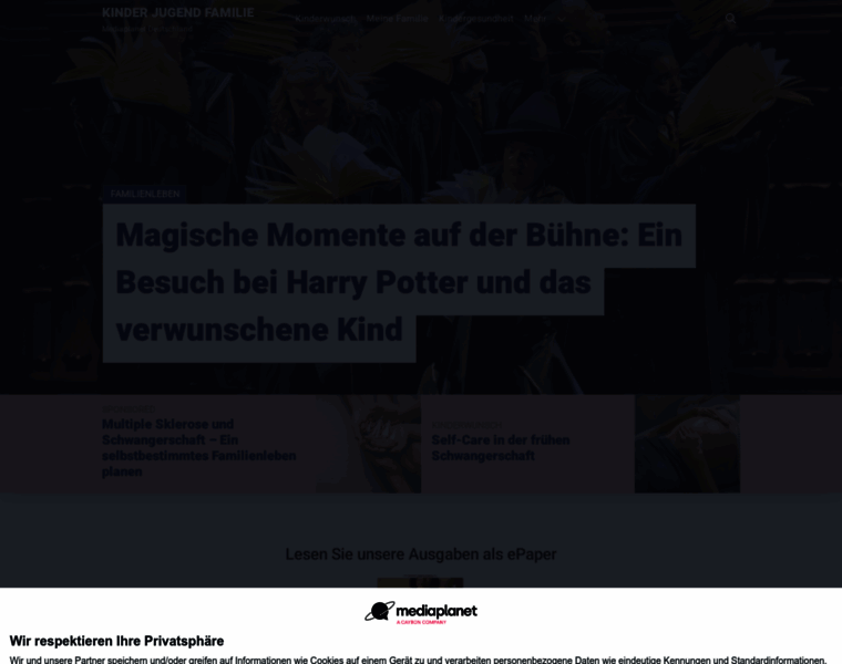 Kinder-jugend-familie.info thumbnail