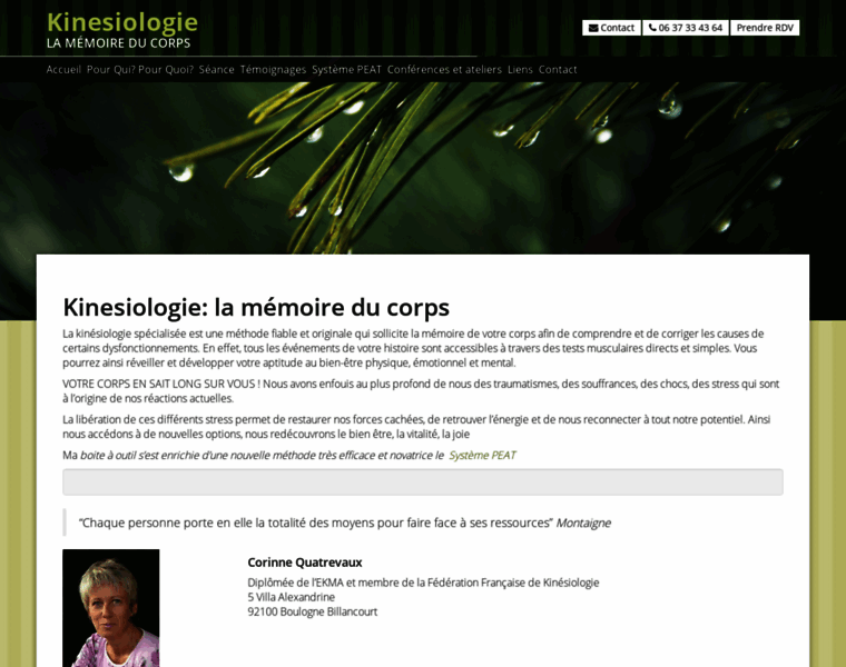 Kinesiologie-kinesiologue-75-paris-92-boulogne-billancourt.fr thumbnail