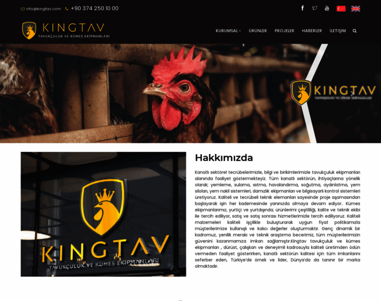 Kingtav.com thumbnail