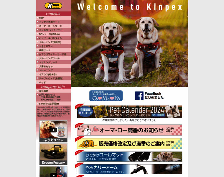 Kinpex.co.jp thumbnail