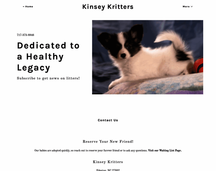 Kinseykritters.com thumbnail