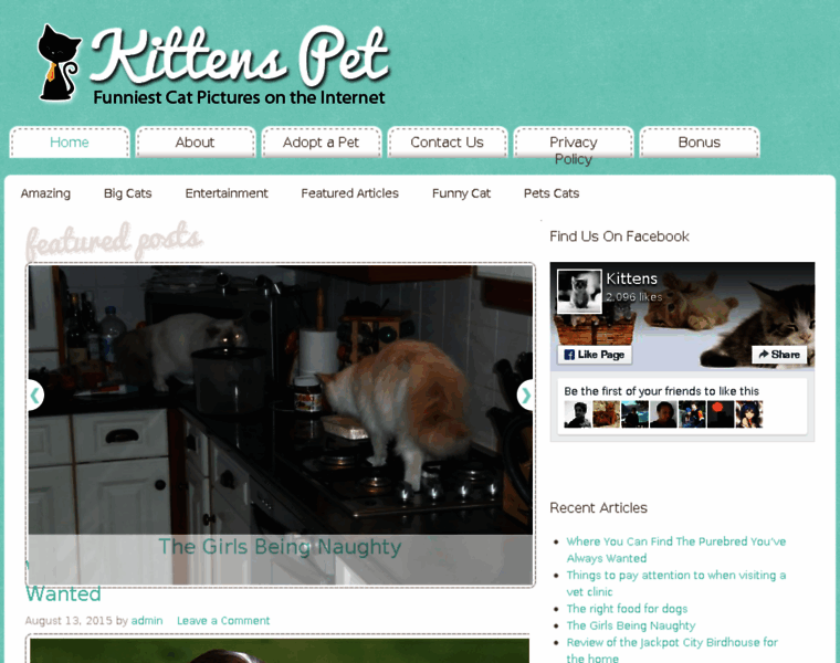 Kittenspet.com thumbnail
