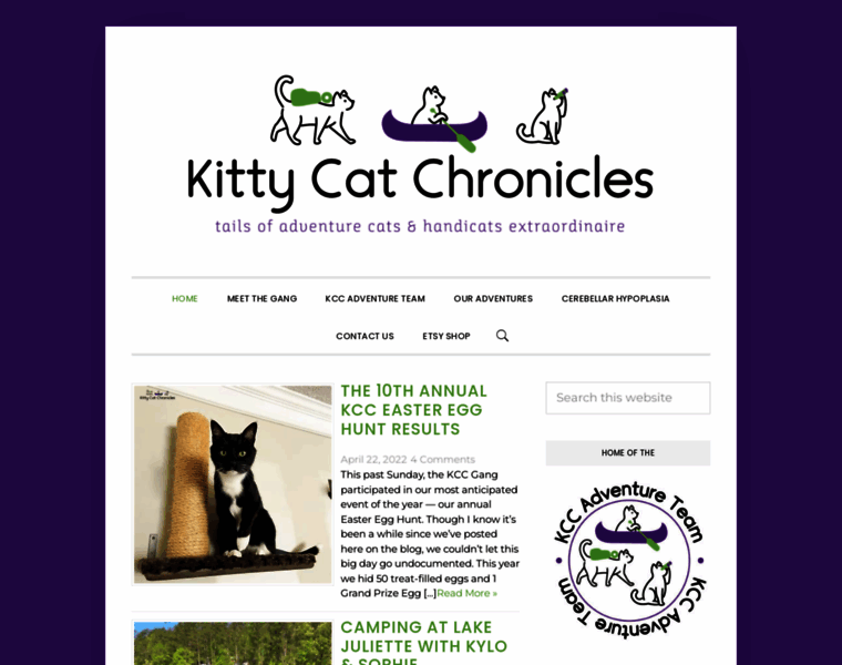 Kittycatchronicles.com thumbnail