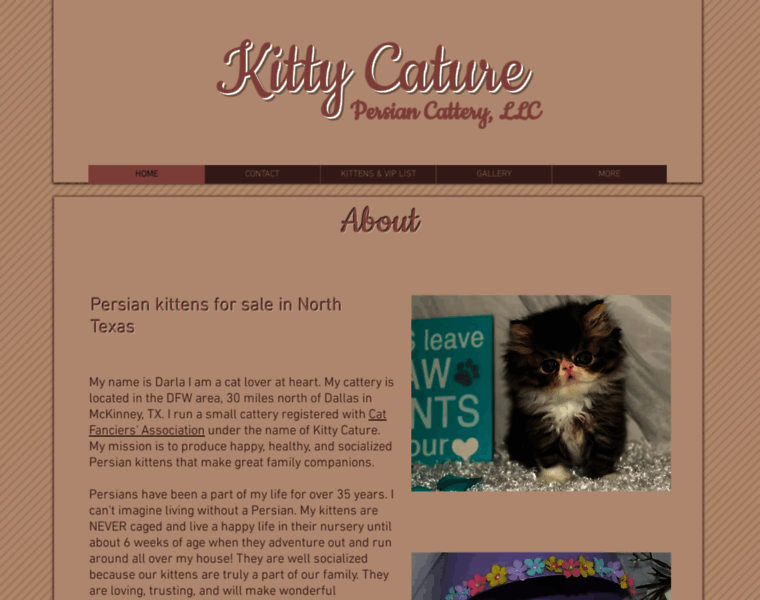 Kittycaturecattery.com thumbnail