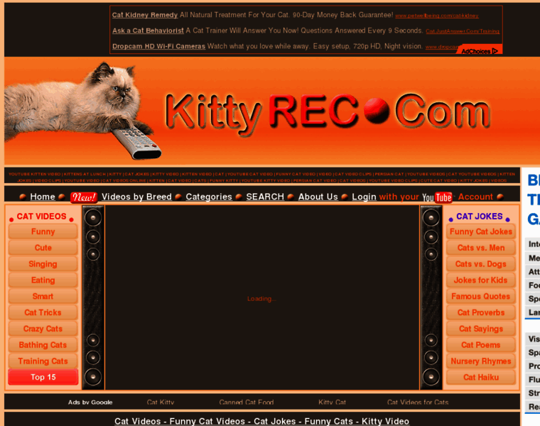 Kittyrec.com thumbnail