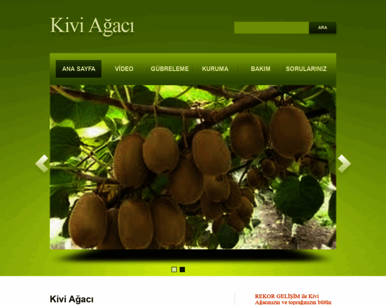 Kiviagaci.com thumbnail