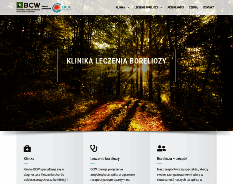 Klinikaboreliozy.pl thumbnail