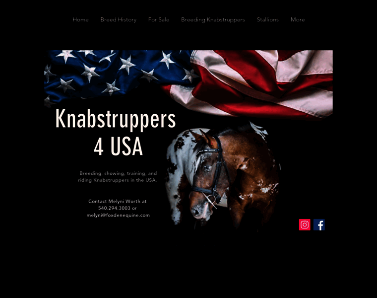 Knabstruppers4usa.com thumbnail
