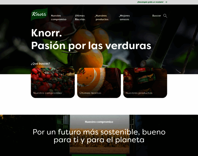 Knorr.es thumbnail