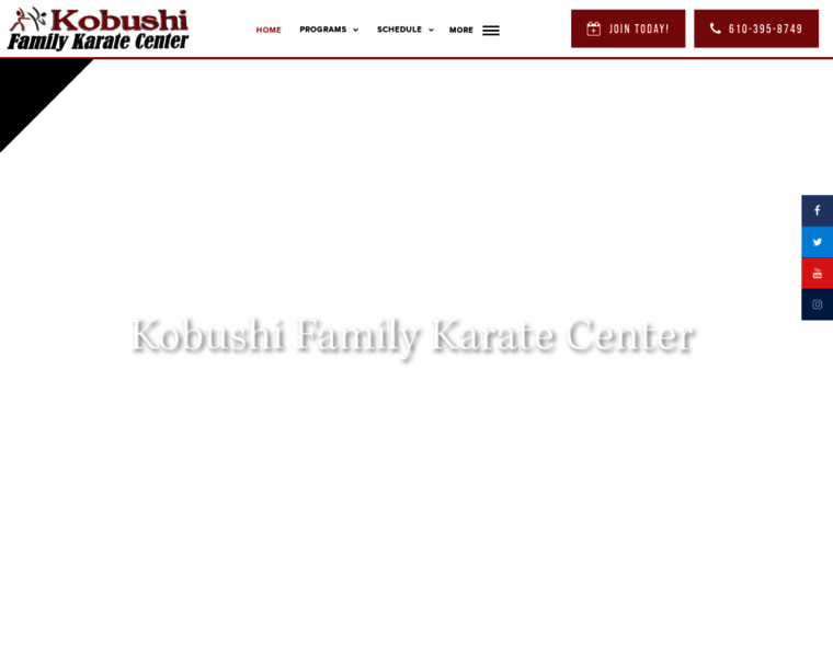 Kobushifamilykaratecenter.com thumbnail