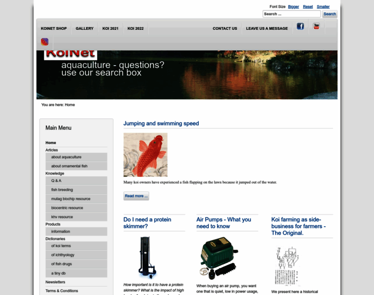 Koinet.net thumbnail