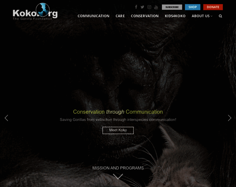 Koko.org thumbnail