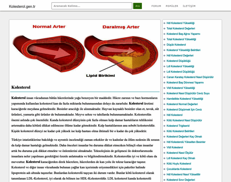 Kolesterol.gen.tr thumbnail