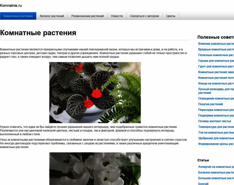 Komnatnie.ru thumbnail