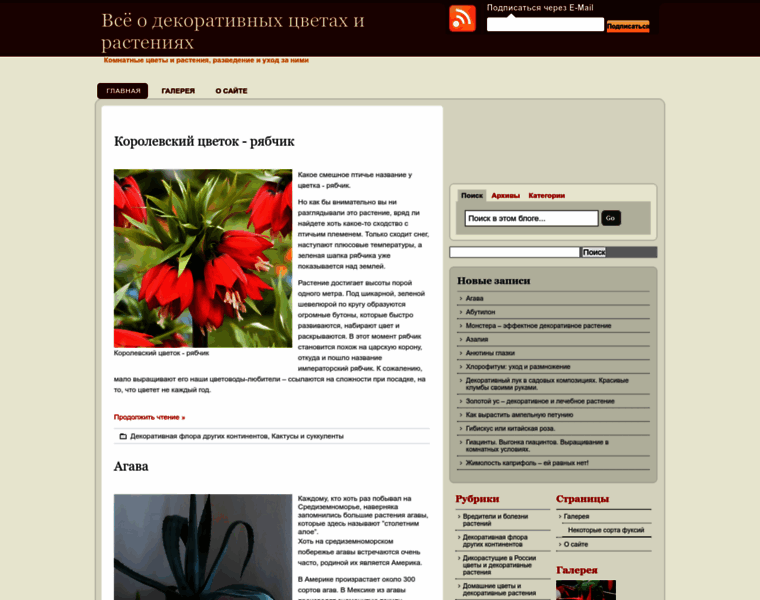 Komnatnye-tsvety.ru thumbnail