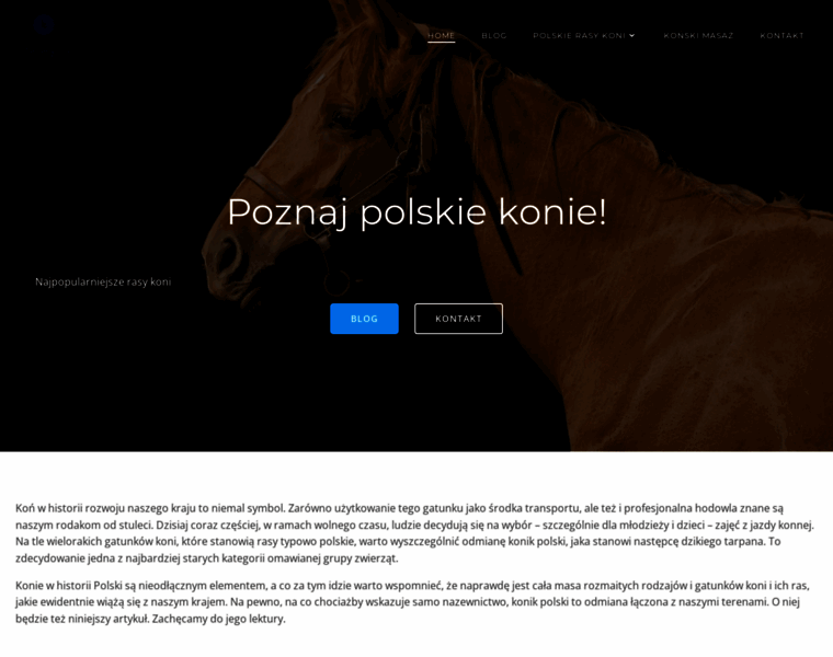 Konie-pegasus.pl thumbnail