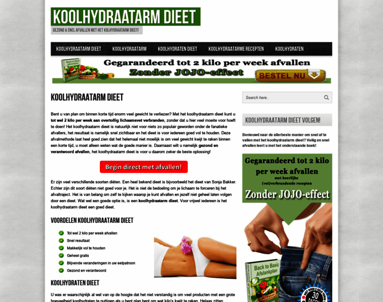 Koolhydraatarmdieetafvallen.nl thumbnail