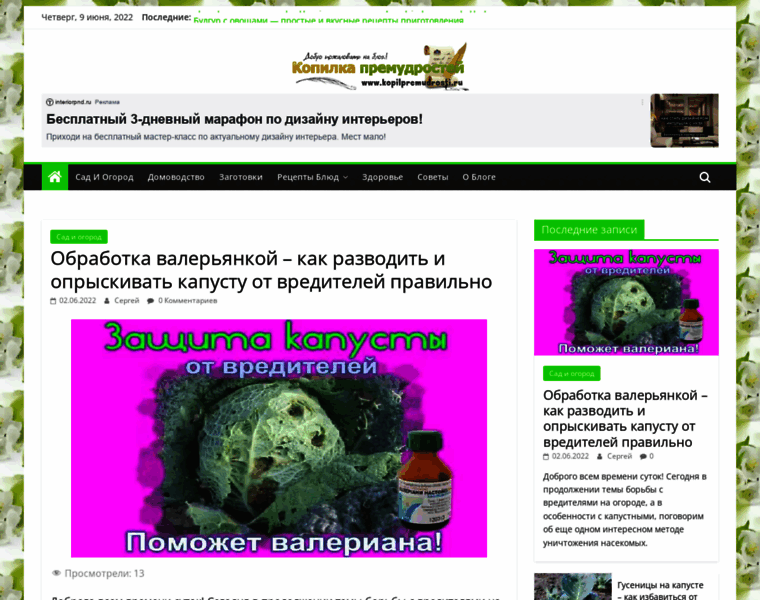 Kopilpremudrosti.ru thumbnail