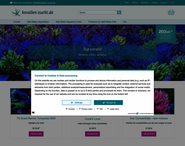 Korallen-zucht.de thumbnail Korallen-zucht.de thumbnail