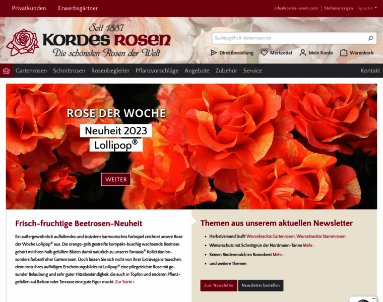 Kordes-rosen.de thumbnail