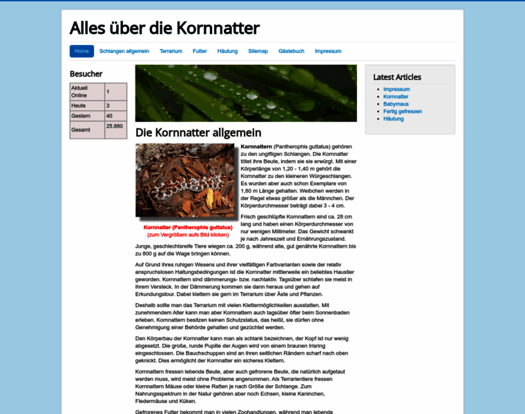 Kornnatter.net thumbnail