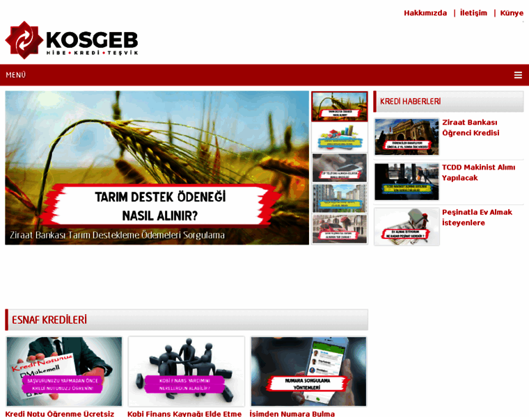 Kosgeb.net thumbnail