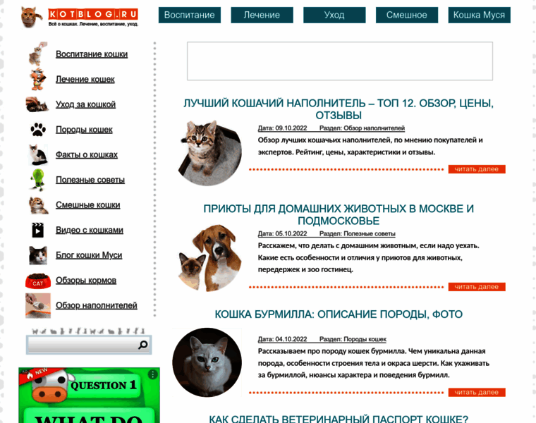 Kotblog.ru thumbnail