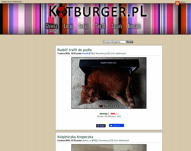 Kotburger.pl thumbnail