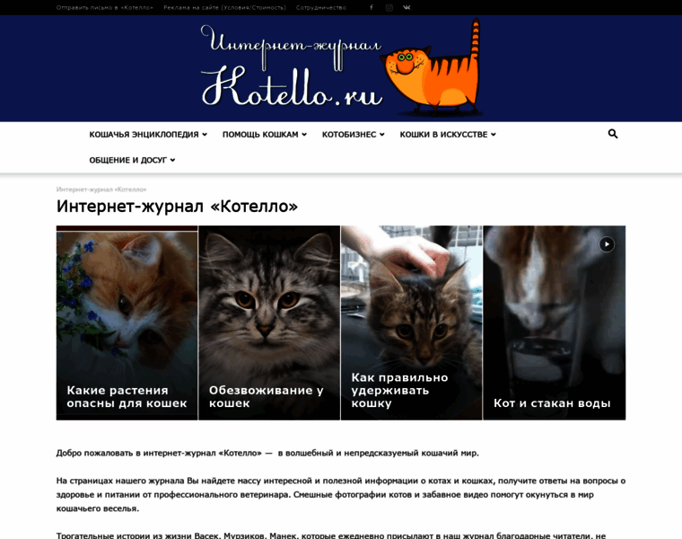 Kotello.ru thumbnail