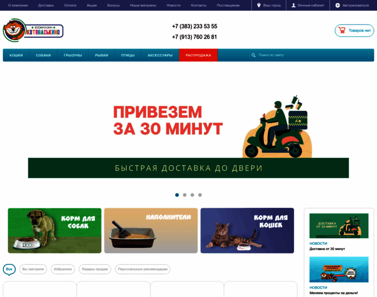 Kotovaskino.ru thumbnail