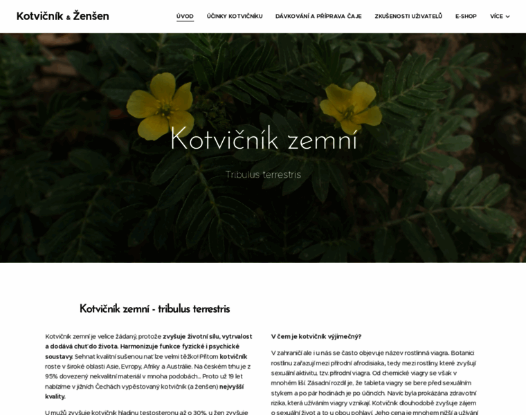 Kotvicnik.info thumbnail