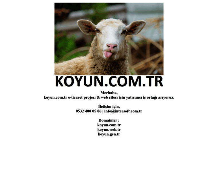 Koyun.com.tr thumbnail