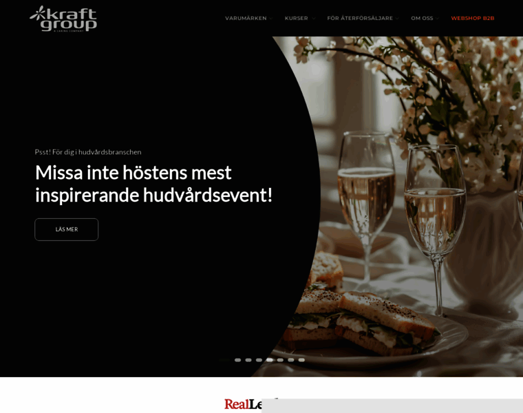 Kraftgroup.se thumbnail