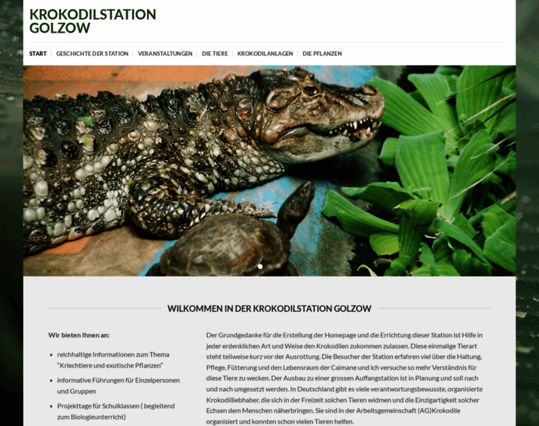 Krokodilstation-golzow.de thumbnail