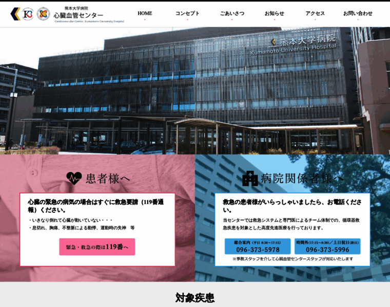 Kumamoto-heartcenter.com thumbnail