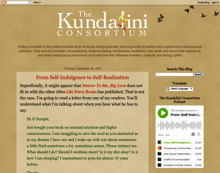 Kundaliniconsortium.org thumbnail