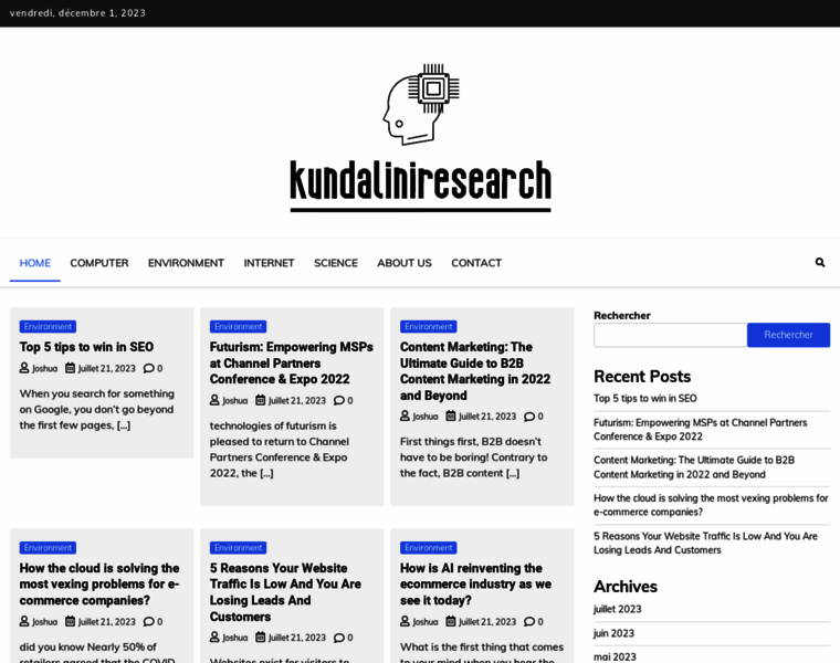 Kundaliniresearch.org thumbnail