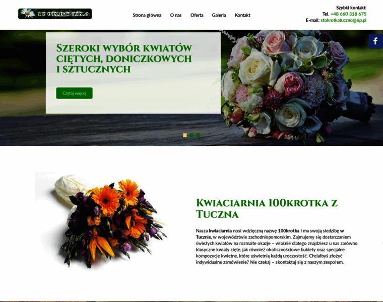 Kwiaciarniastokrotka.com thumbnail
