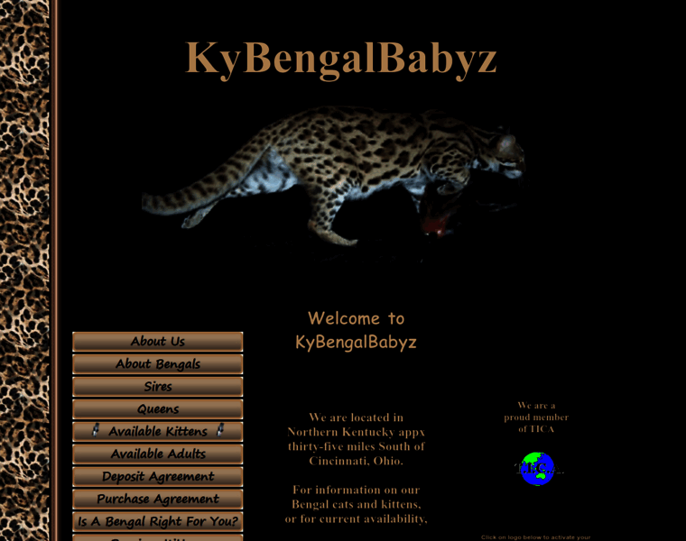 Kybengalbabyz.com thumbnail