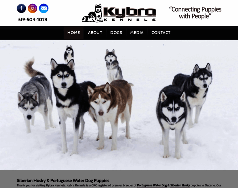 Kybrakennels.ca thumbnail