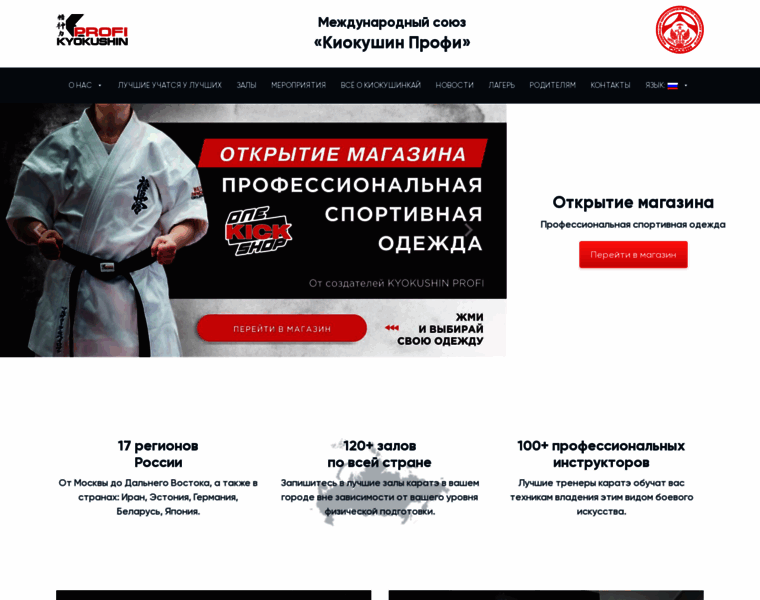 Kyokushinprofi.ru thumbnail
