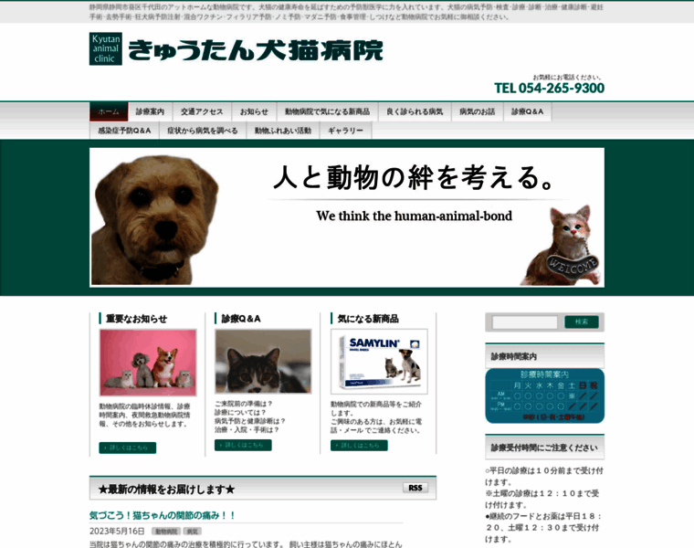 Kyutan-vet.com thumbnail