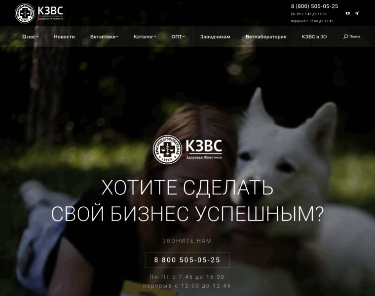 Kzvs.ru thumbnail