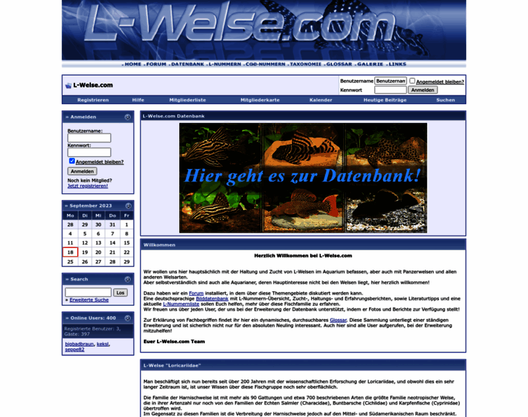 L-welse.com thumbnail