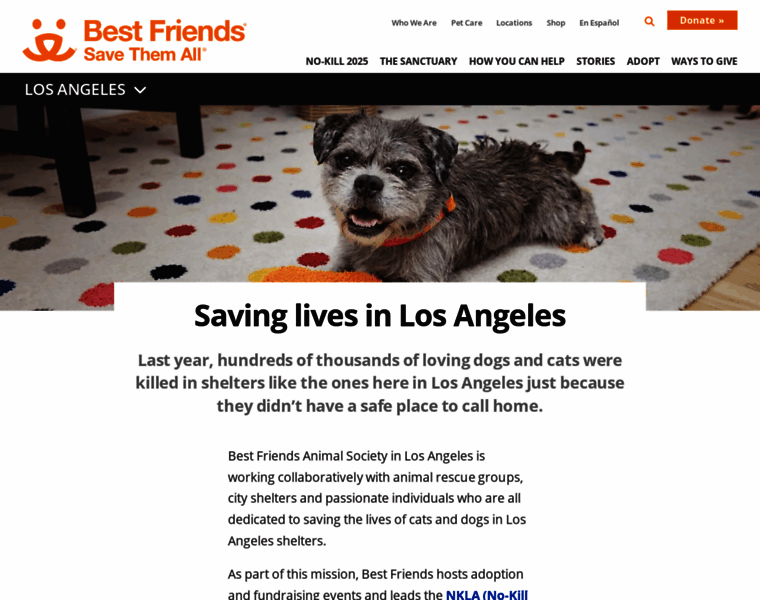 La.bestfriends.org thumbnail