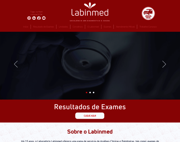 Labinmed.com.br thumbnail
