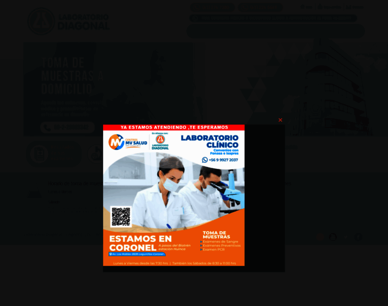 Laboratoriodiagonal.cl thumbnail