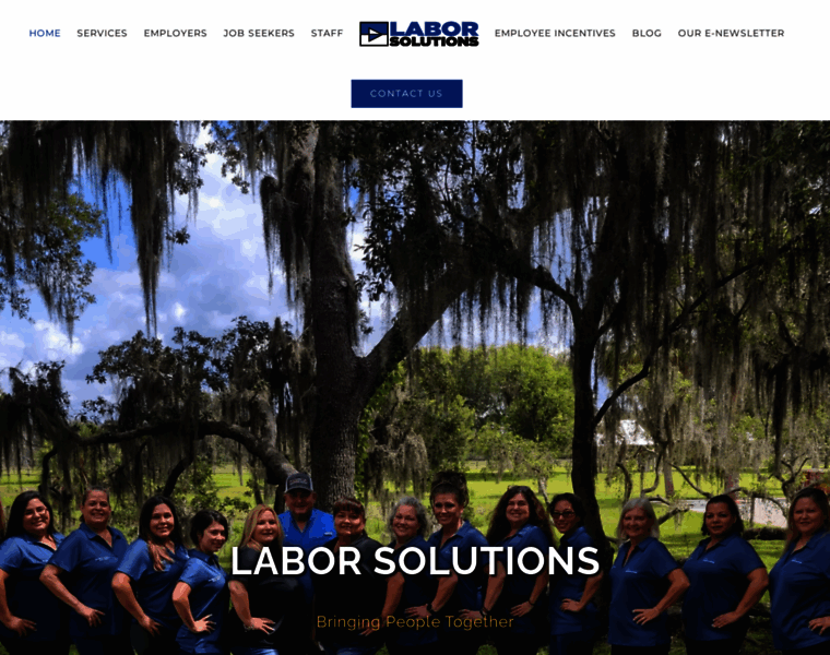Laborsolutions.com thumbnail