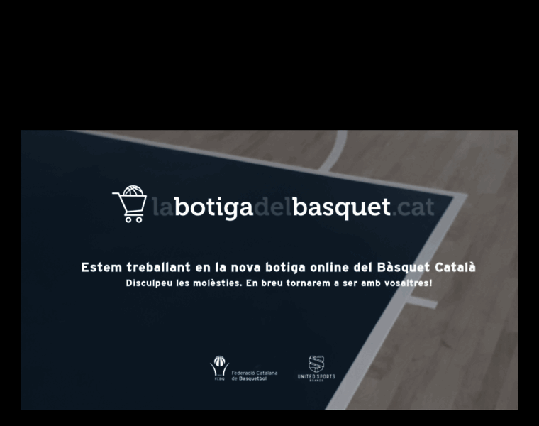 Labotigadelbasquet.cat thumbnail